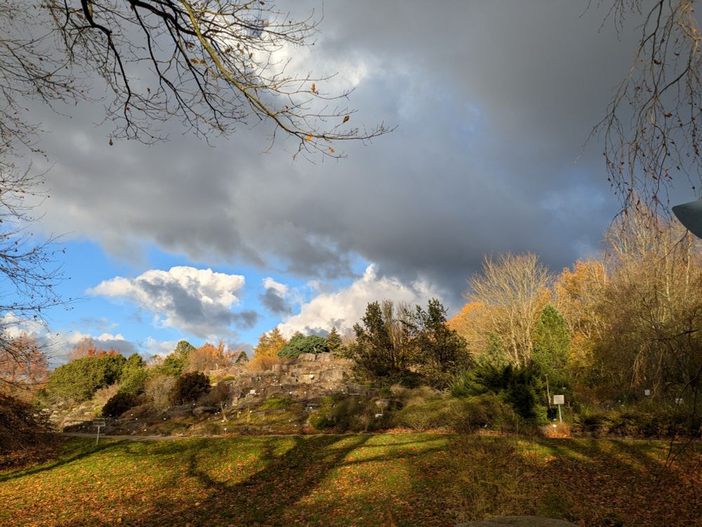 Blick zum Alpinum, darüber dunkle Wolken 