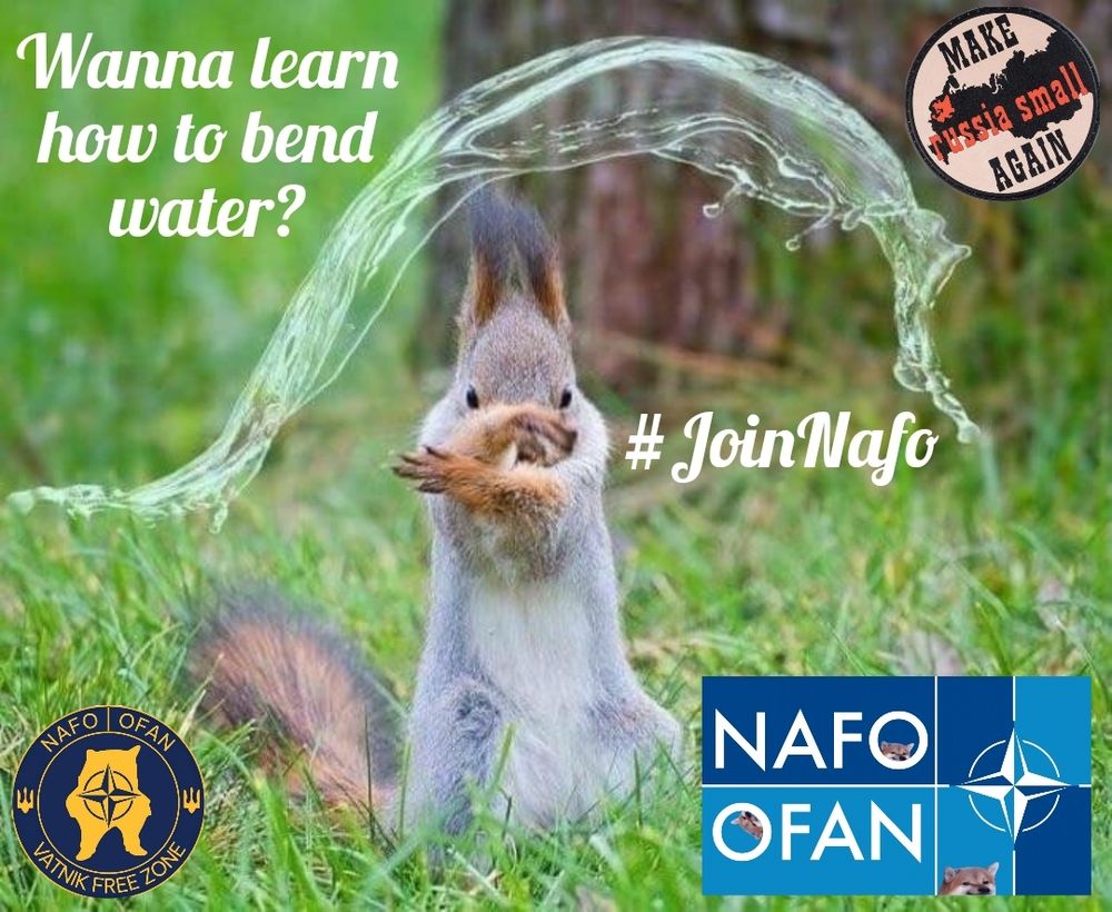 Nafo Meme