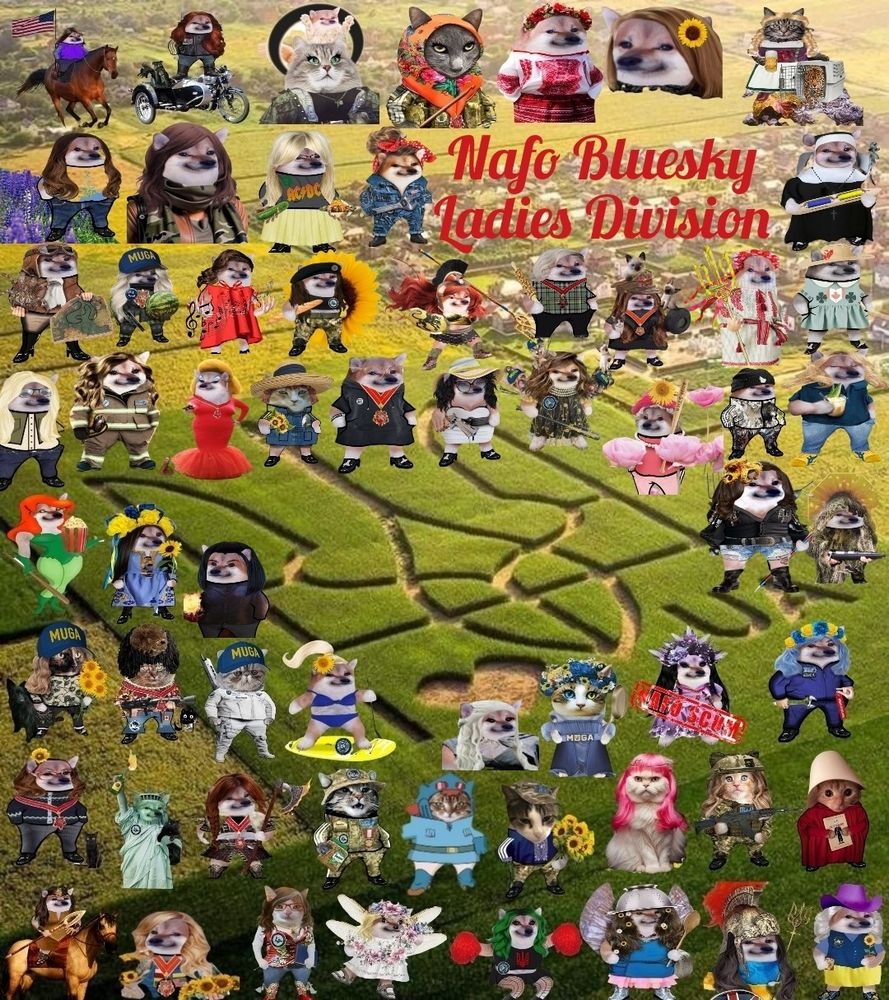 Nafo Bluesky Ladies Division Meme #01