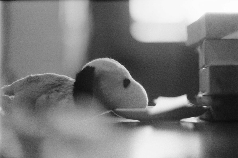 Photo of small Snoopy doll with his muzzle resting on a small dish. 