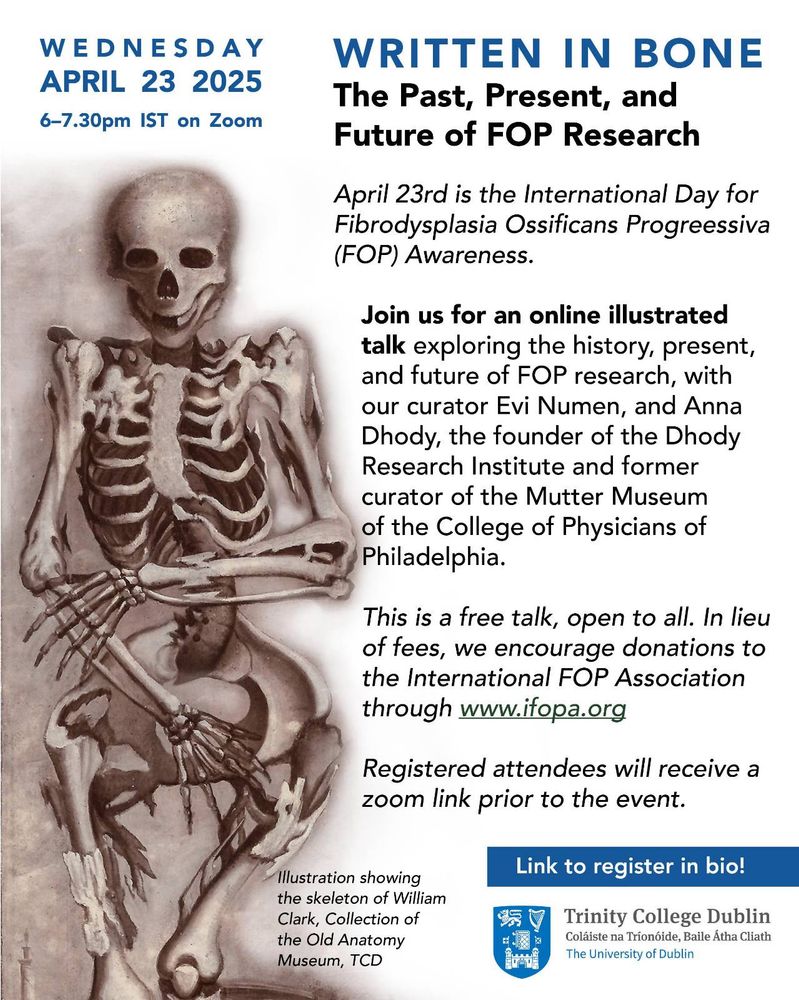 April 23rd is the International Day for FOP Awareness.

What is FOP?

Fibrodysplasia Ossificans Progressiva (FOP) is a very rare genetic condition that affects about 900 people worldwide today. In simple terms, the condition causes bone to form in muscles and connective tissue (joints, ligaments, fascia), greatly restricting movement and affecting one's quality of life.

Even though research into the management of the condition and the discovery of a cure progresses, the lack of awareness of this extremely rare disease can delay diagnosis and treatment, as well as decrease research support and outcomes.

The skeletons of two individuals that lived with this rare condition in the 18th and 19th centuries reside within the Anatomy Museum of the School of Medicine at Trinity College Dublin and represent the lived experiences and historical research around FOP in the past.
Other such remains can be found in anatomy and pathology museums around the world, including the Mutter Museum of the College of Physicians of Philadelphia. What can we learn from the lives and 'afterlives' of these individuals? How can their stories contribute to contemporary research?

Join us for an online illustrated talk exploring the history, present, and future of FOP research, with our curator Evi Numen, and Anna Dhody, the founder of the Dhody Research Institute and former curator of the Mutter Museum of the College of Physicians of Philadelphia.

This is a free talk, open to all. In lieu of fees, we encourage donations to the International FOP Association through www.ifopa.org

Registered attendees will receive a zoom link prior to the event.
