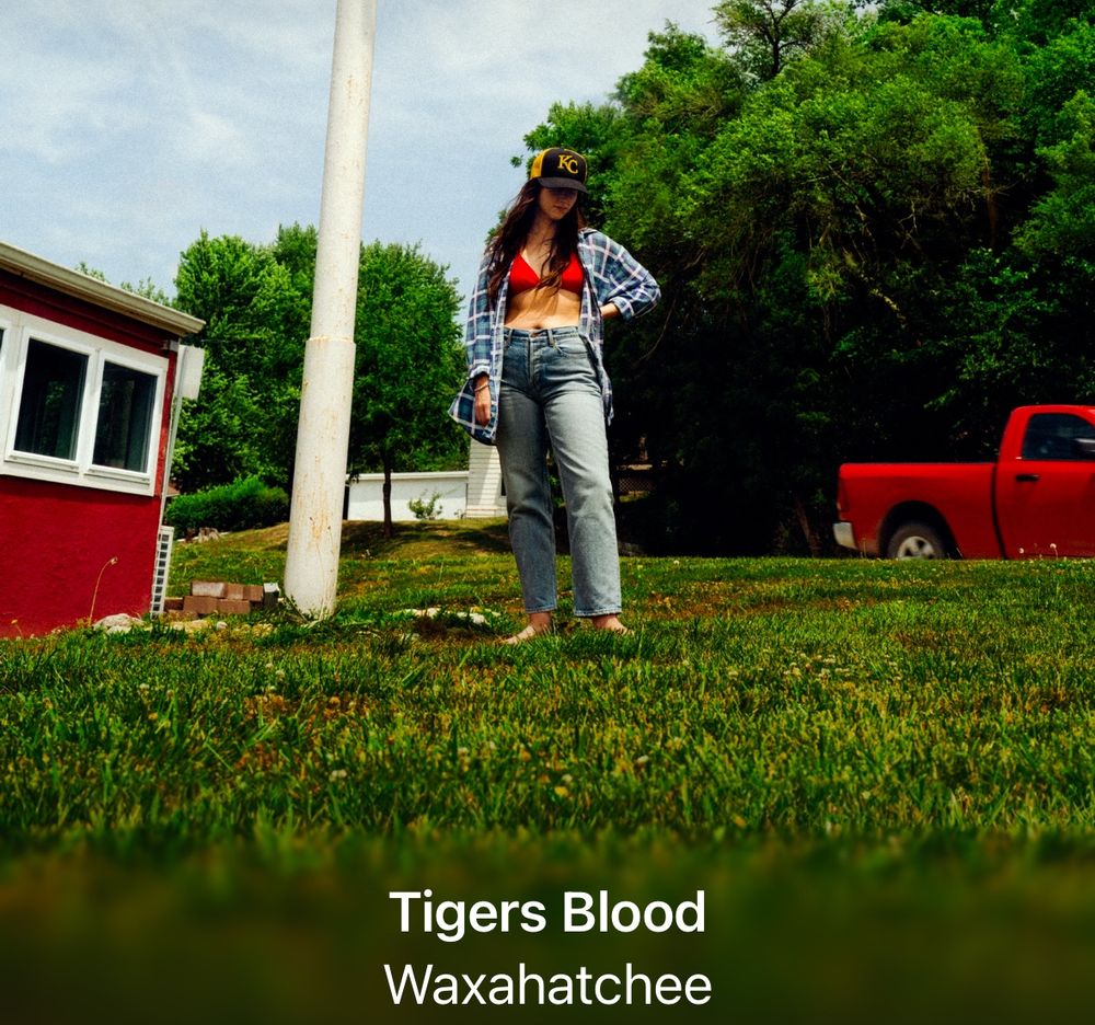 Waxahatchee Tigers Blood Album Cover
