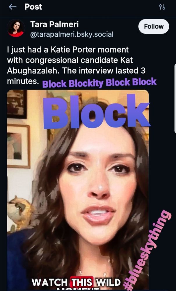 Screenshot of tarapalmeri@bsky.social still trying to promote her "brand" after unsuccessfully trying to bully & bait in an  interview & getting shut down like the rabid barbie she is. But then, turning around & going full whiny bitch mode, talking smack as if she's not in the wrong?? Blockable Offense. Love to you, friend & thank you for considering! ♡