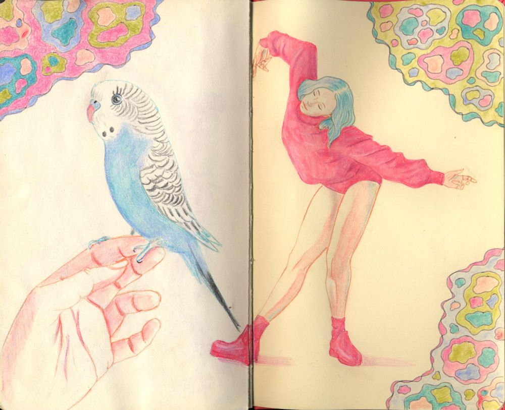 On the left-hand page, there's a perch perched on a hand. On the right-hand page, a young woman is dancing. And around the two drawings, coloured shapes surround them.