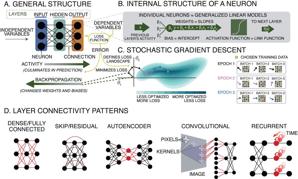 Schematics illustrating the structure of artificial neural networks