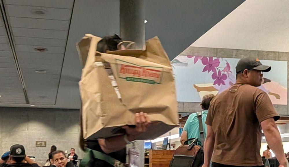 Photo of a woman holding a large brown bag containing at least 5 boxes of Krispy Kreme donuts. The box obscures her face and most of her body from this angle.