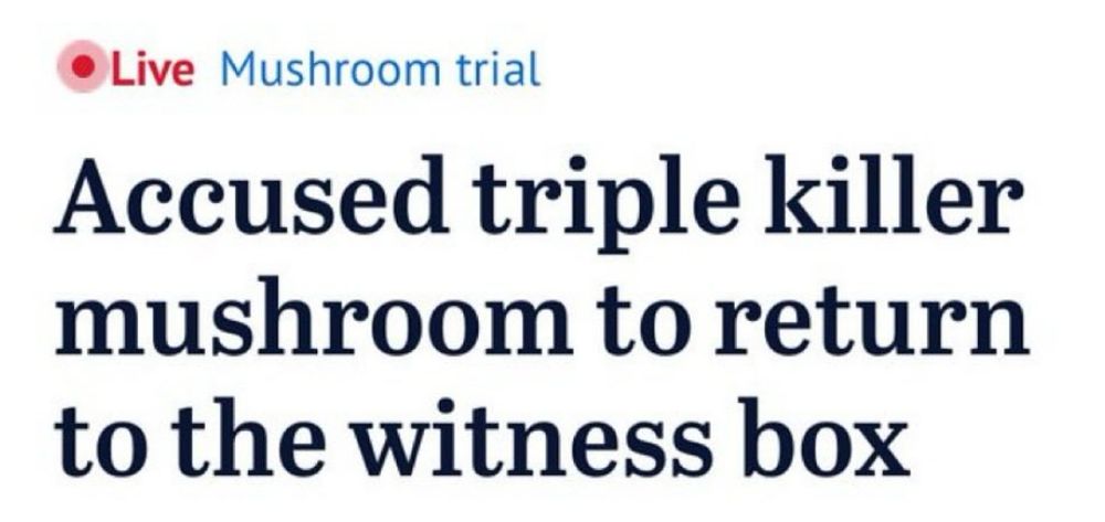 Screenshot of online news headline about the trial of Erin Paterson, the "mushroom killer" (general deets here: https://www.bbc.com/news/articles/c5yx7vewn75o):
Text: "Live Mushroom trial. Accused triple killer mushroom to return to the witness box."