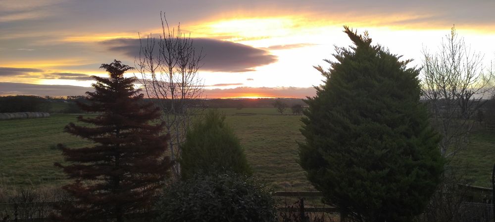 An English country scene. Three fir-like trees in the foreground frame a peach orange sun poking over the horizon, lighting the bottom side of the sleepy grey clouds above.