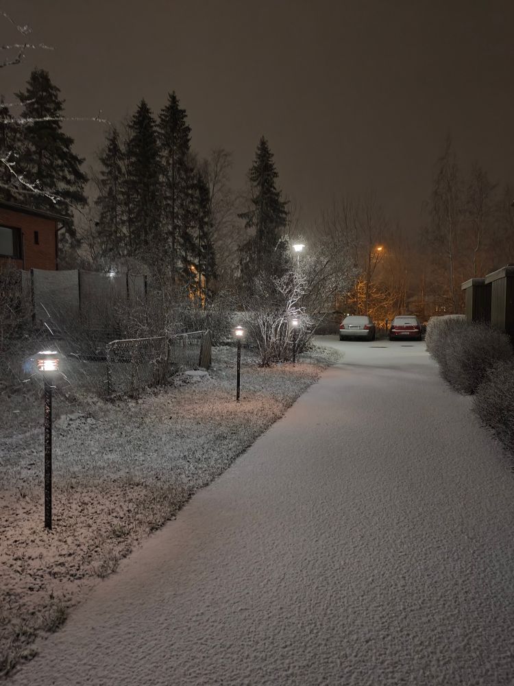 An evening photo of a snowy yard. There is about 1 cm of snow.