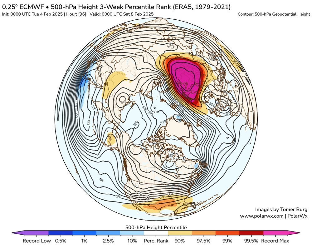 Forecast map of 500 hPa geopotential heights (contours) and their percentile (shading) relative to the 1979-2021 climate for 8 Feb 2025. The domain is the Arctic. Purple colors, over NW-Russia, mean record high 500 hPa heights for the time of the year.