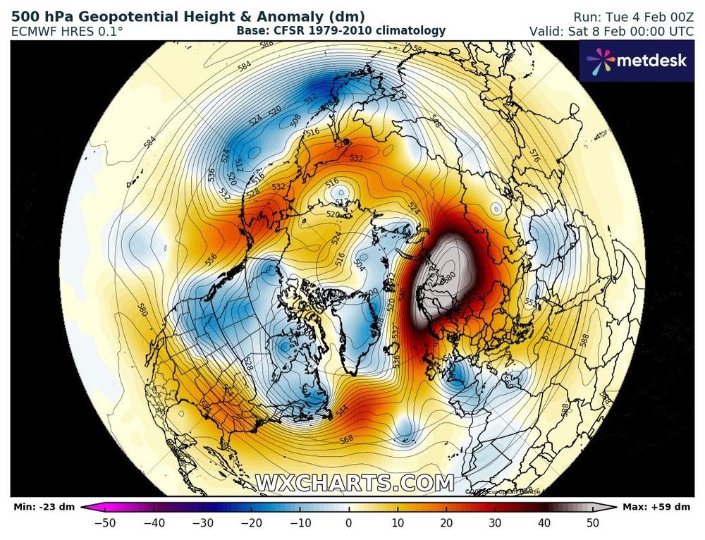 Forecast 500 hPa geopotential height and anomaly map over the northern hemisphere showing the intensity of the predicted blocking. The valid time is 8 Feb 2025.