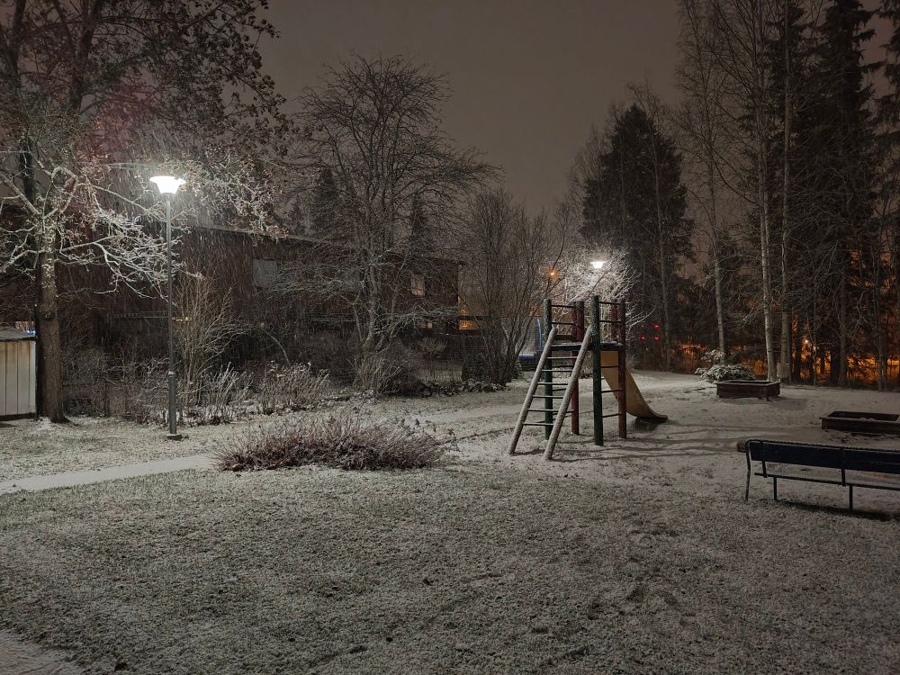 An evening photo of a snowy yard. There is about 1 cm of snow.