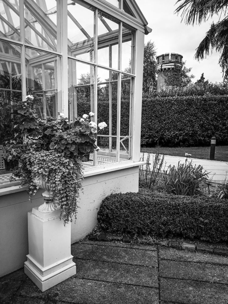 Black and white photo of a glasshouse and plants at The National Botanic Gardens of Ireland.