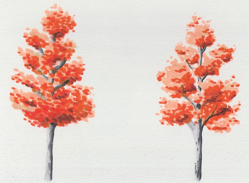 Two orange trees done with Ohuhu alcohol markers in Sept 2024
These were my first trees! #markerart
- Wryaves art