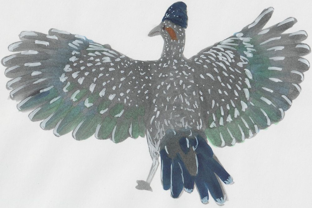 A larger grey bird with a red streak on its cheek, blue crest and tail feathers, iridescent wings, and white speckling. Done as a timed practice piece (25 min) on 24 Feb 2025
I wish I wrote down the species because now I can't remember or find it
- Wryaves art, marker art