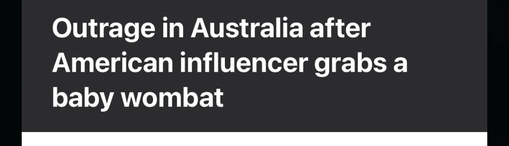 Outrage in Australia after American influencer grabs a baby wombat