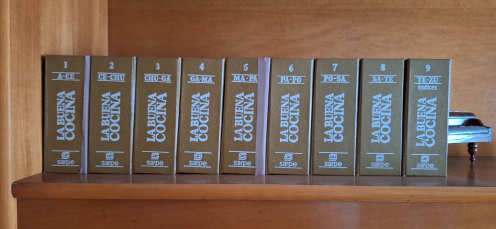 Nueve archivadores de fichas con recetas de cocina, de título «La Buena Cocina» de la editorial Sarpe. Creo que eran entregas semanales o quincenales de varias fichas y, cada cierto tiempo, un archivador.
A-CE CE-CHU CHU-GA GA-MA MA-PA PA-PO PO-SA SA-TE TE-ZU son los índices de cada fichero. El último incluye un índice global de la obra.