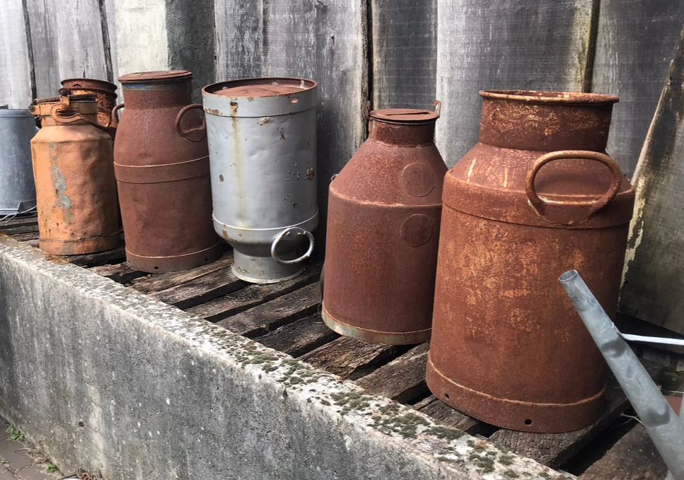 Oude roestige melkbussen, vijf stuks. Eentje staat er op zijn kop. En al lang, dat zie je aan het roestspoor.
Rechts zie je nog een tuut van een gieter, en links nog een zinken emmer.