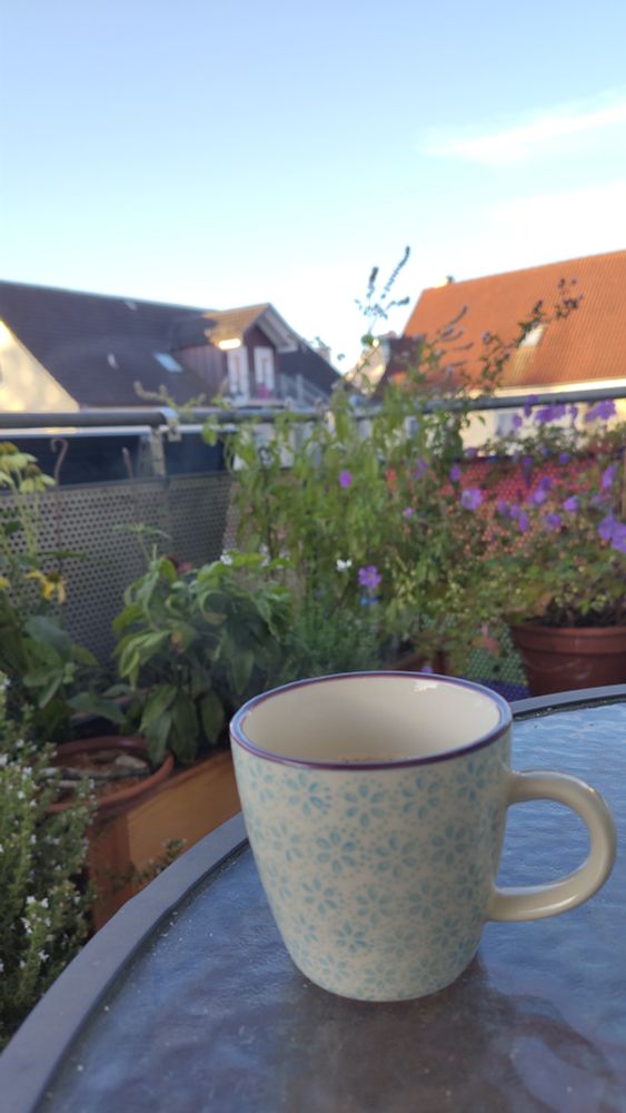 Im Vordergrund ein Glastisch auf dem Balkon mit Kaffeetasse.Dahinter teils blühende Balkonbepflanzung. Im Hintergrund die Dächer der Nachbarhäuser und blauer Himmel mit wenigen Wolken.