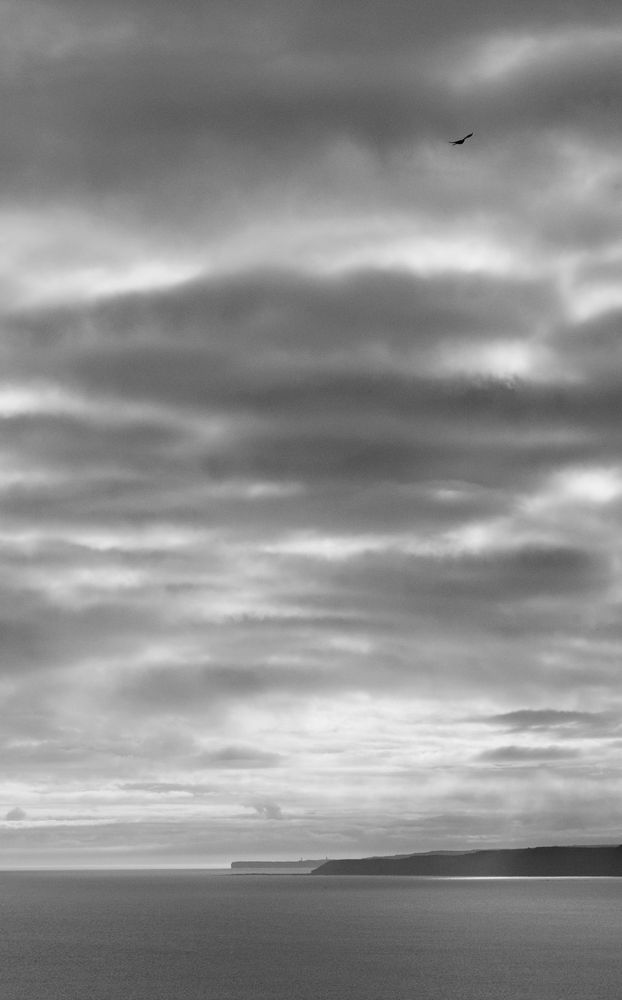 A seagull flies high over the bay as sunlight breaks through rhythmic clouds