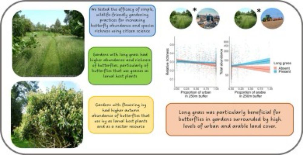 Wildlife-friendly garden practices increase butterfly abundance and species richness in urban and arable landscapes