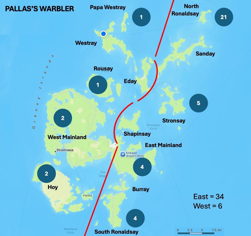 Map of Orkney Isles showing distribution of 40 Pallas's Warblers up to end of 2024 - east = 34 records and west = 6 records.