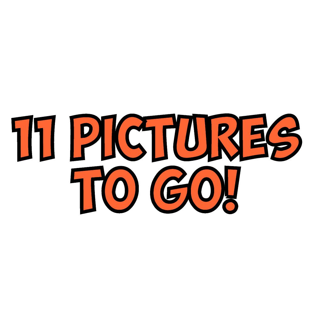 11 pictures to go