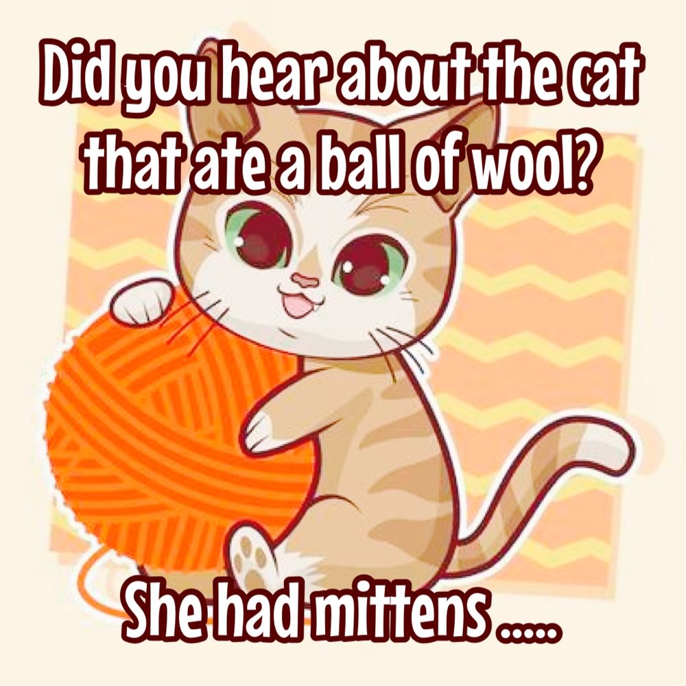 A cartoon of a ginger cat holding an orange ball of wool

Did you hear about the cat that ate a ball of wool?

She had mittens…..