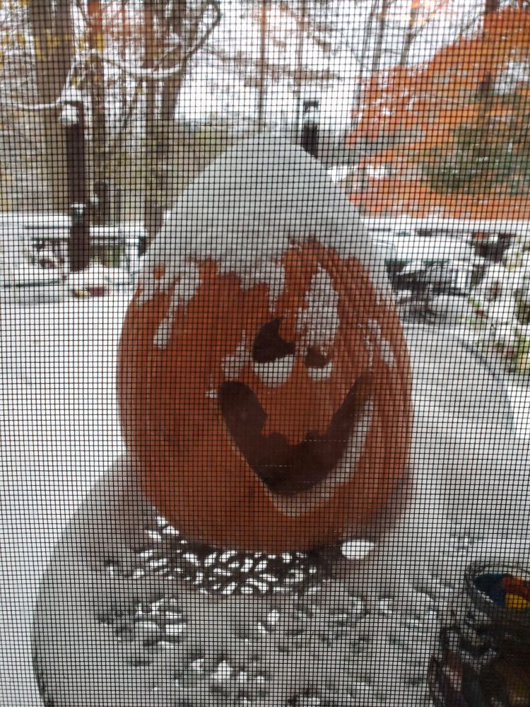 Goofy Halloween pumpkin with snow on its top.