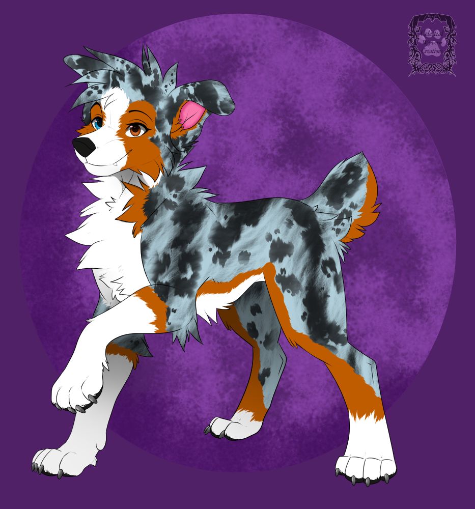 A blue merle/brown/white dog with a blue and brown eye on a purple moon background