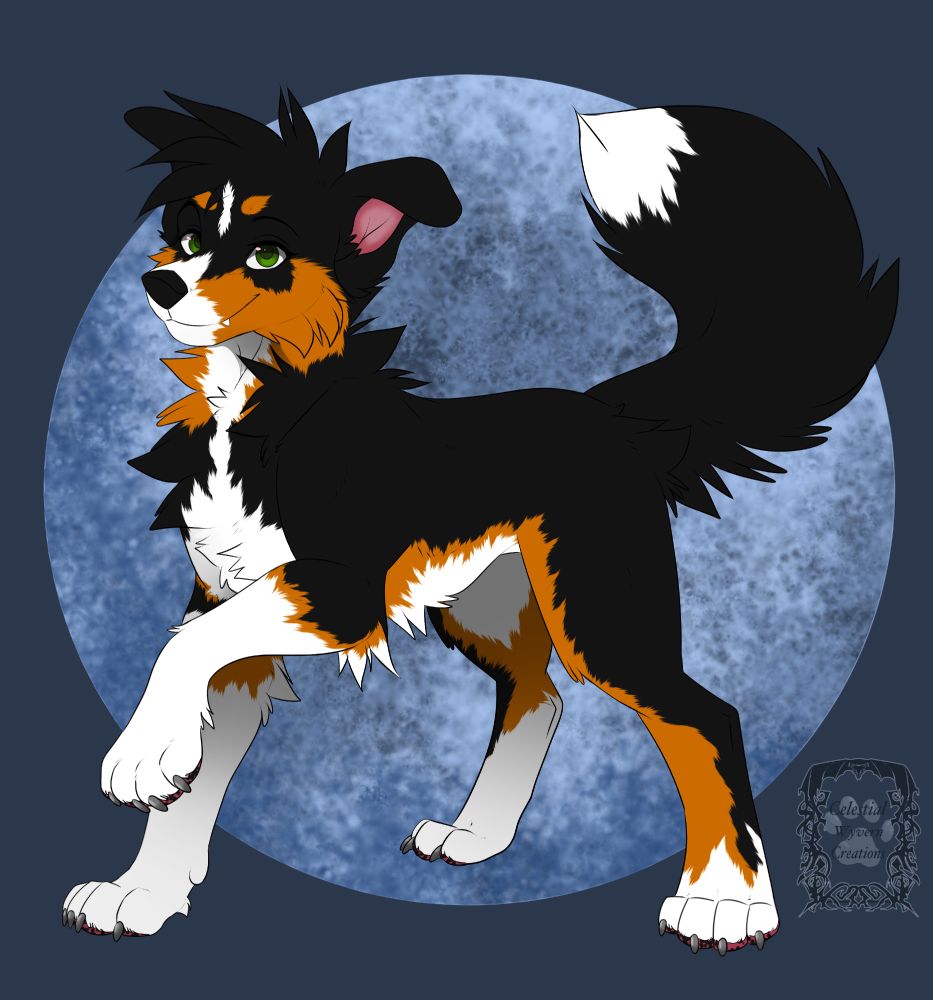 A black/brown/white dog with green eyes on a blue moon background