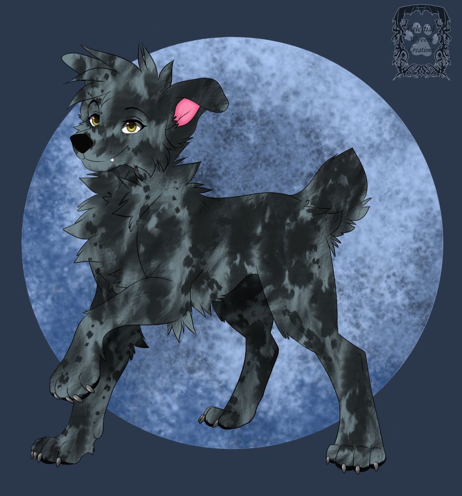 A blue merle dog with brown eyes on a blue moon background 
