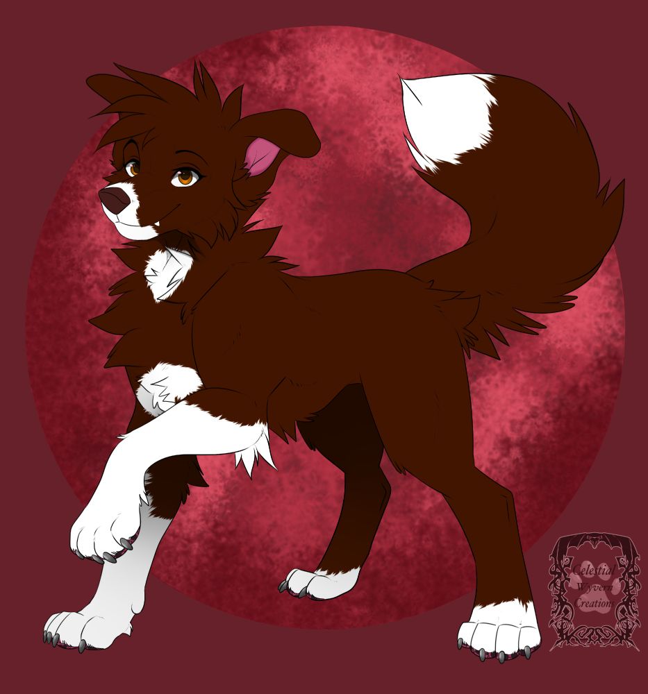 A red/white dog with brown eyes on a red moon background