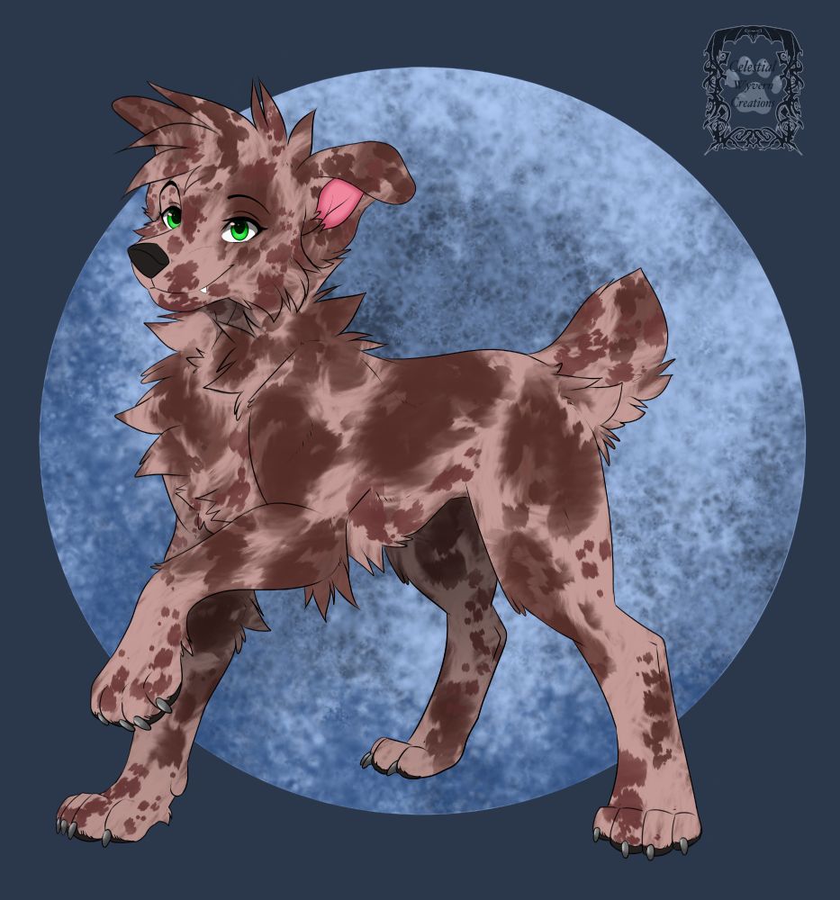 A red merle dog with green eyes on a blue moon background