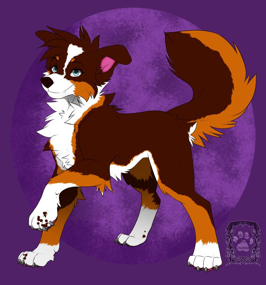 A red/orange/white dog with blue eyes on a purple moon background