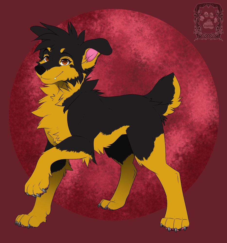 A brown and black dog with brown eyes on a red moon background