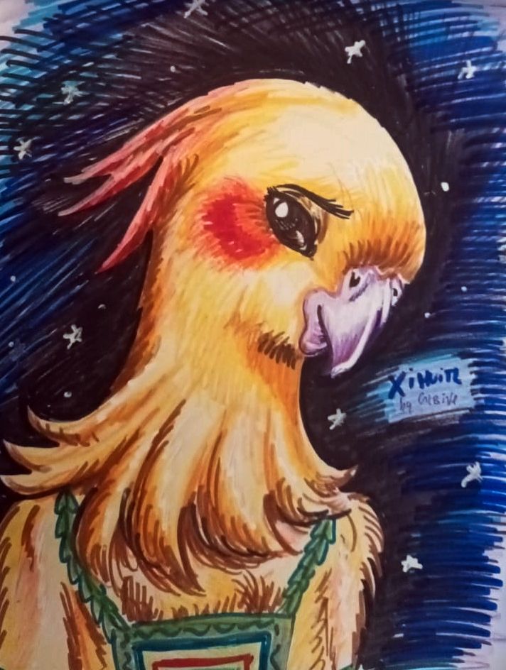 The image shows an sketch portrait of an anthropomorph blonde cockatiel with dark brown feathers and Aztec-like clothes, against a space background. The text reads XIHUITL by Cri8ive
