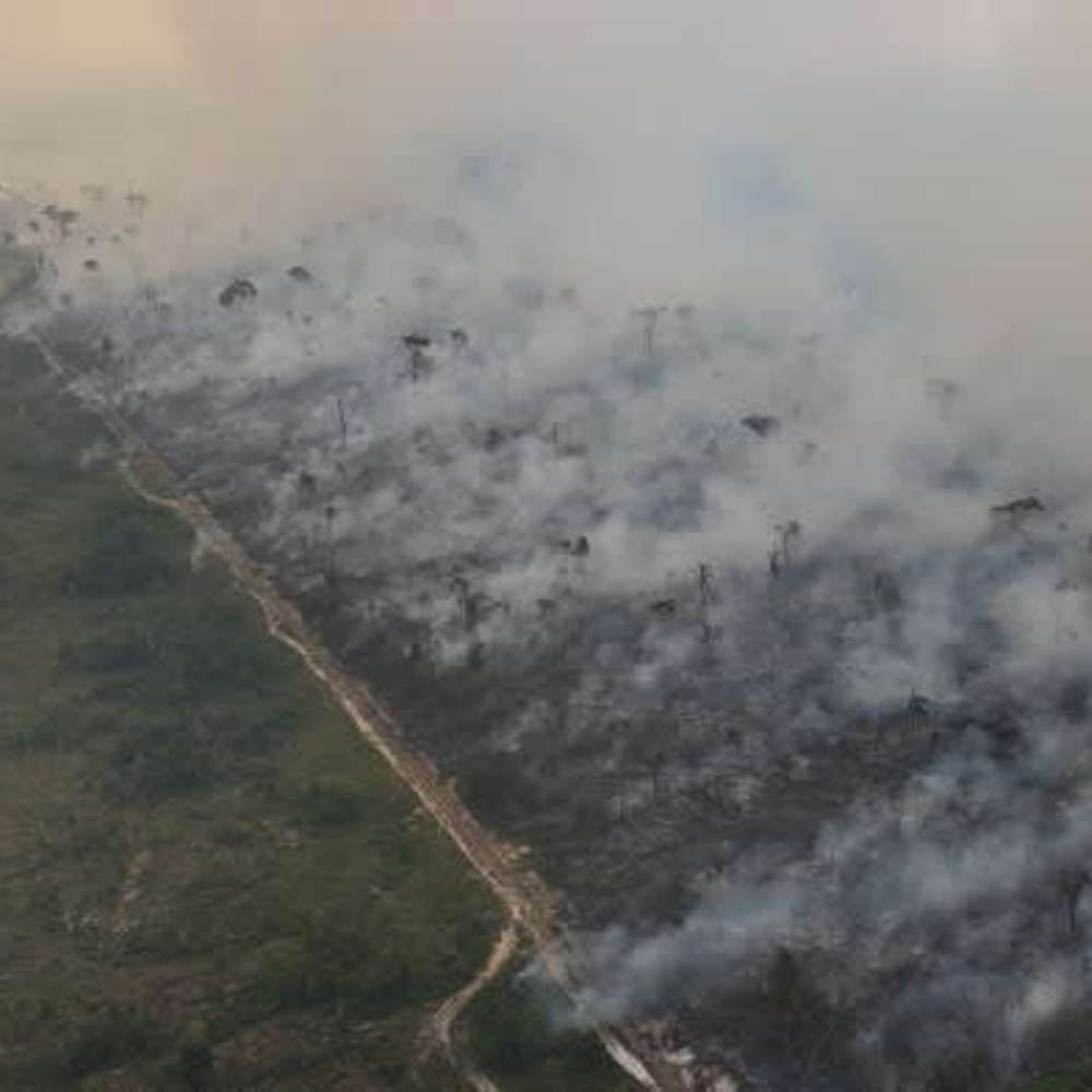 Wildfires sweep Amazon as Brazil suffers worst drought on record