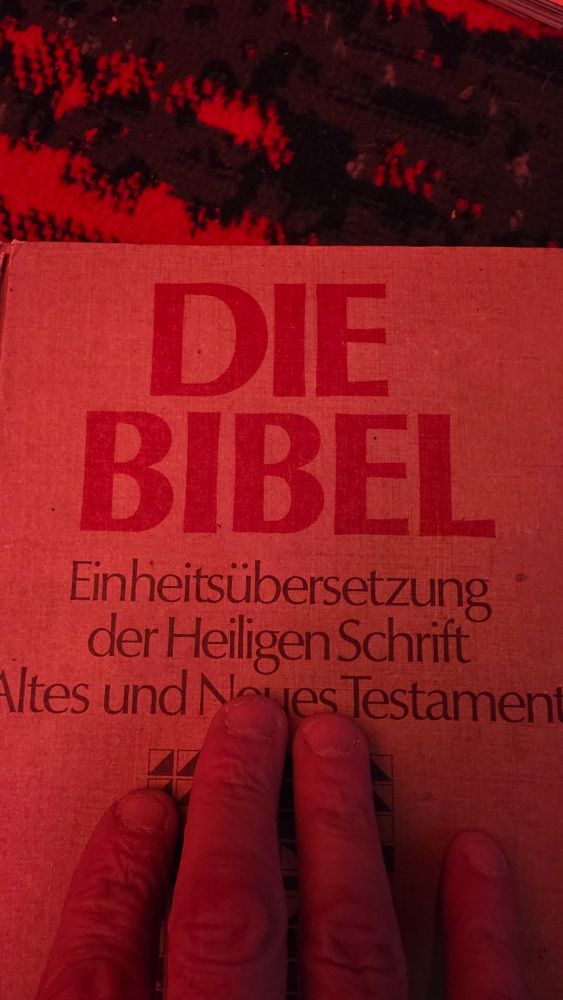 Die Bibel 