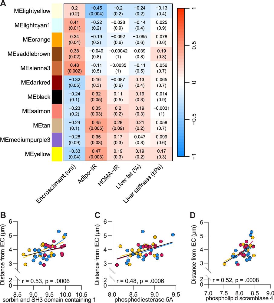 Gene modules related to adipose insulin resistance and encroachment.