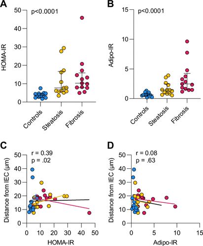 Insulin resistance between groups
