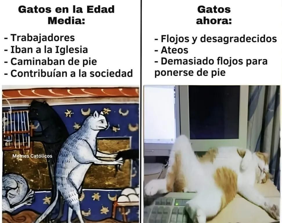 ​Meme em espanhol dividido em duas partes comparando gatos.
​Lado esquerdo: Texto "Gatos na Idade Média: Trabalhadores, Iam à Igreja, Caminhavam de pé, Contribuíam para a sociedade". Abaixo, uma pintura medieval bizarra de gatos em pé realizando atividades humanas.
​Lado direito: Texto "Gatos agora: Preguiçosos e mal-agradecidos, Ateus, Preguiçosos demais para ficar de pé". Abaixo, uma foto de um gato real dormindo todo torto e relaxado em cima de um teclado de computador.