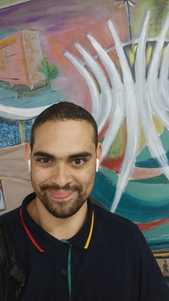 Homem branco com camisa polo azul, usando barba e cabelo curto em frente ao mural com a pintura de catedral da Brasília 