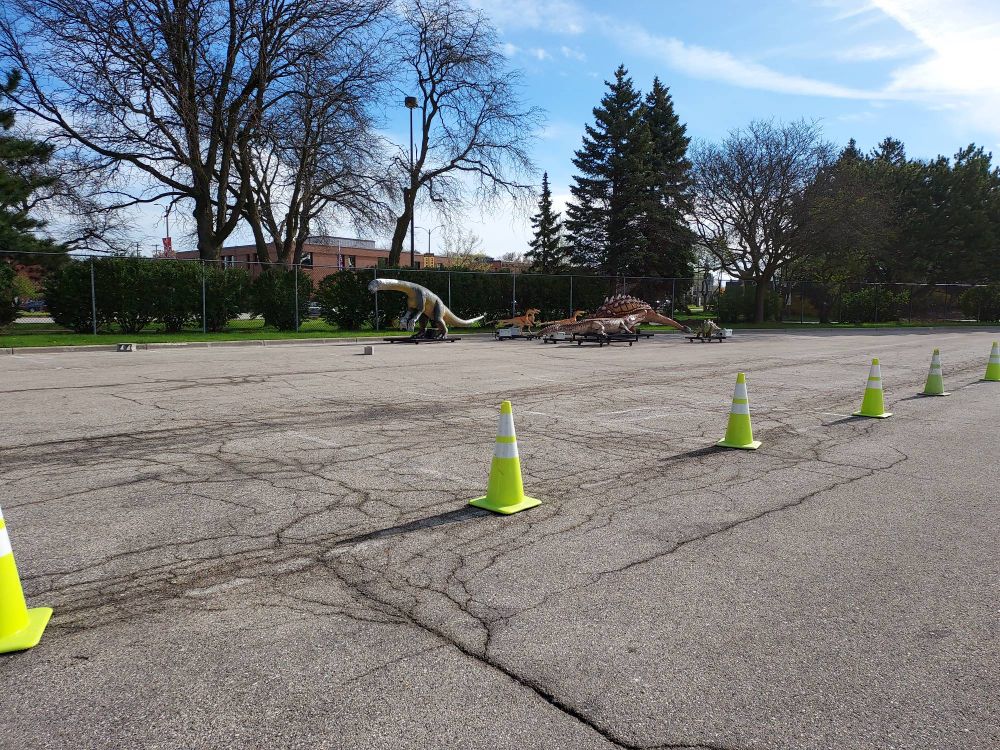 A group of seven animatronic dinosaurs behind yellow cones in a parking lot