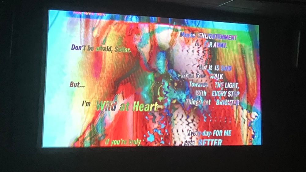 scene from closing credits of snakeskin jacket, a wild at heat remix. It is highly rainbowy & glitchy 