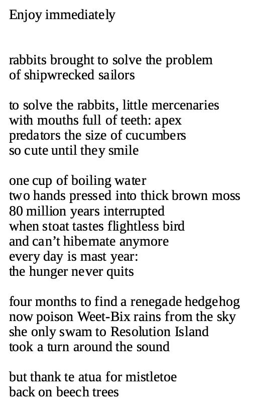 Enjoy immediately


rabbits brought to solve the problem 
of shipwrecked sailors

to solve the rabbits, little mercenaries with mouths full of teeth: apex predators the size of cucumbers 
so cute until they smile

one cup of boiling water
two hands pressed into thick brown moss 
80 million years interrupted 
when stoat tastes flightless bird 
and can't hibernate anymore 
every day is mast year: 
the hunger never quits

four months to find a renegade hedgehog 
now poison Weet-Bix rains from the sky 
she only swam to Resolution Island 
took a turn around the sound

but thank te atua for mistletoe 
back on beech trees