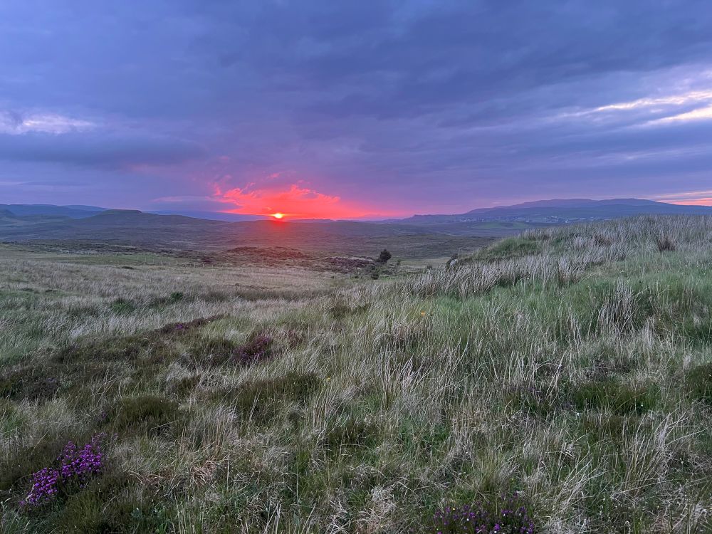 A photo of a soft purple sky with a bright shock of red where the sun is setting over a grassy moorland.