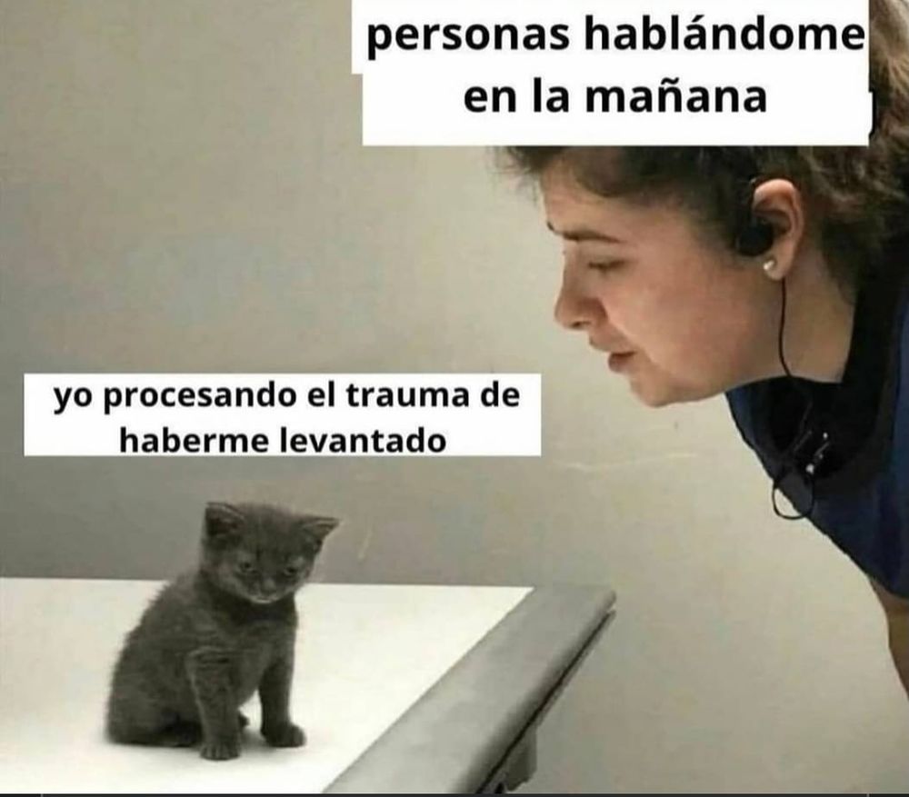A woman with a headset leans over a table corner where a gray-charcoal kitten sits looking sleepy.

Captions in Spanish:

Headset lady- 'People talking to me in the morning'

Kitten- 'Me processing the trauma of having gotten up'