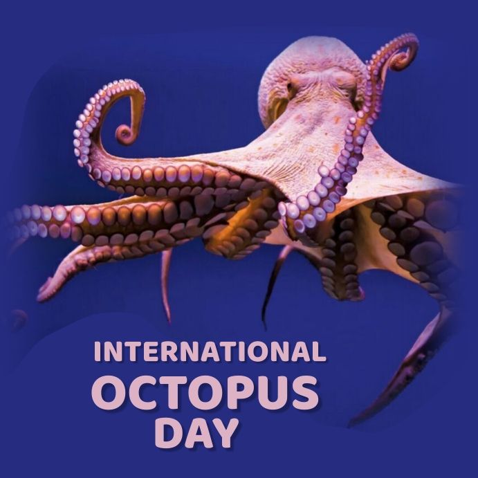 Graphic: International Octopus Day. A picture of a rose-hued octopus on a dark blue background