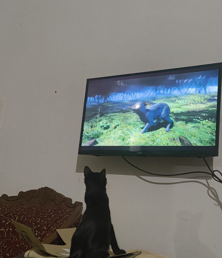 A black cat watching the movie Flow, which is about a black cat. 